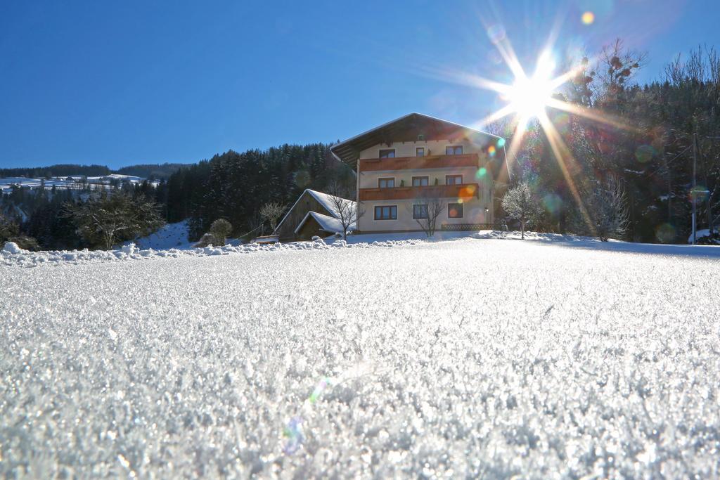 Rosspointnerhof Hotel Haus im Ennstal Buitenkant foto